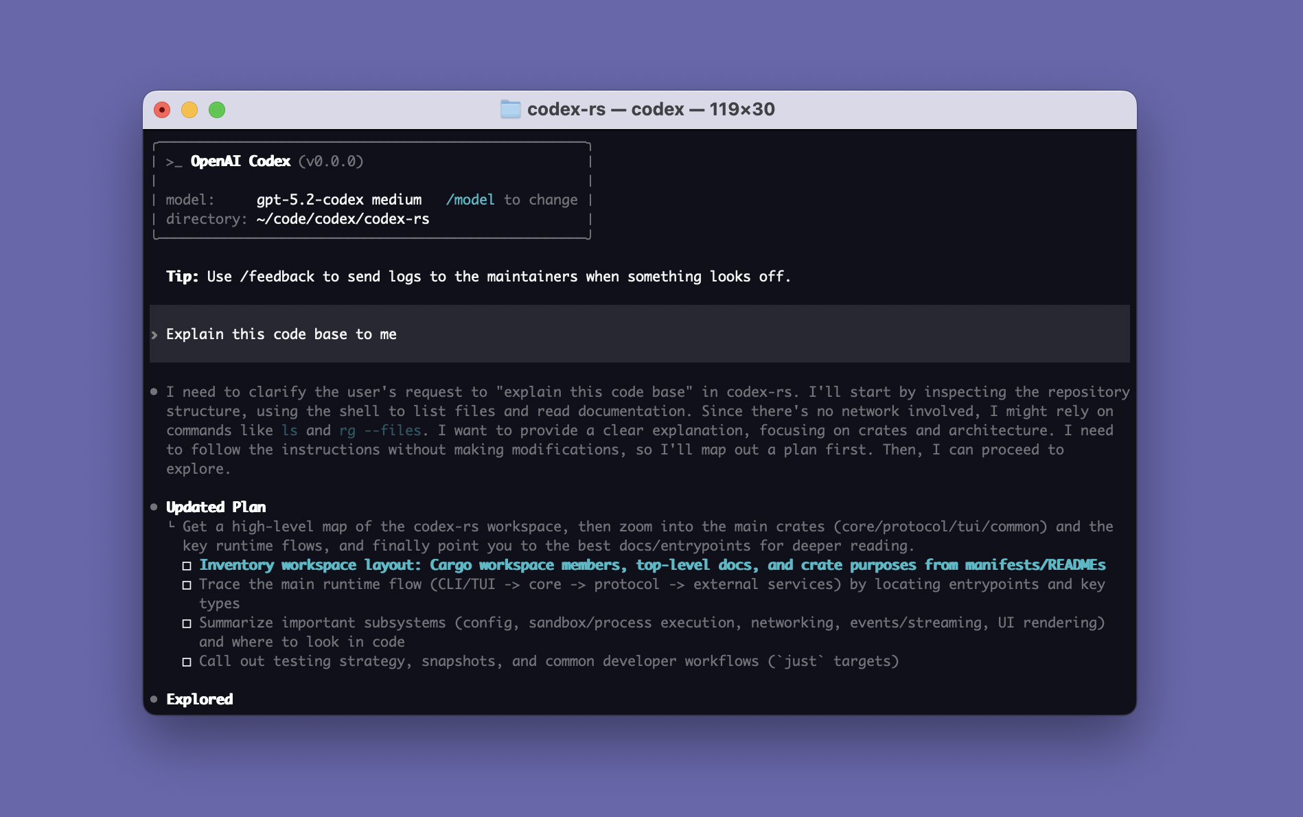 [AI工具]OpenAI Codex CLI 0.161.0 官方正式版（含 ChatGPT 桌面端）插图
